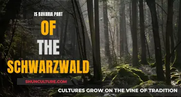 Exploring Bavaria's Schwarzwald Identity: A Cultural Conundrum