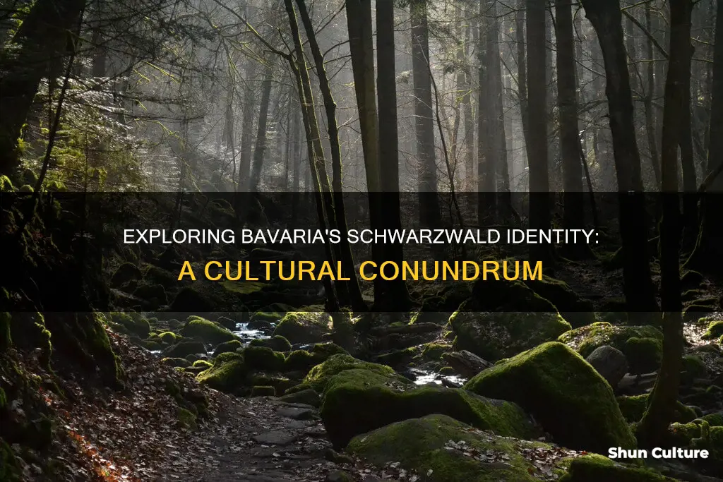 is bavaria part of the schwarzwald