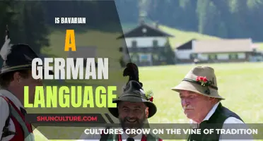 Bavarian Dialect: A Unique German Language Variation