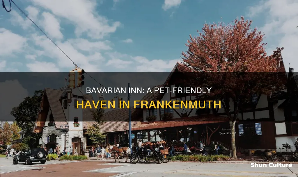 is bavarian inn frankenmuth pet friendly