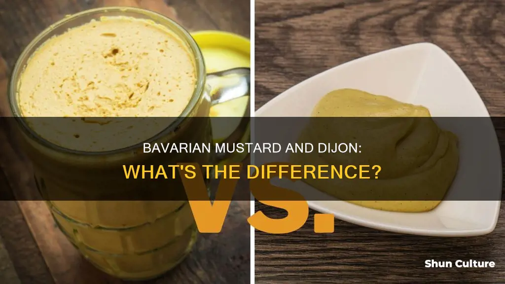 is bavarian mustard like dijon