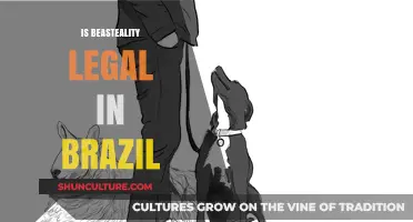 Understanding the Legal Landscape of Bestiality in Brazil