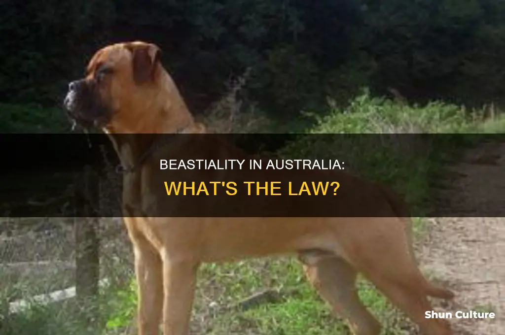 is beastiality illegal in australia