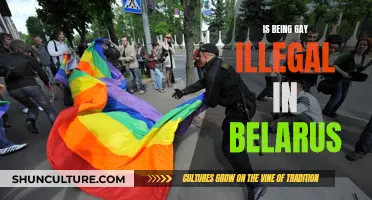 Gay in Belarus: Criminalized or Free to Be?