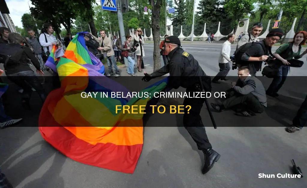 is being gay illegal in belarus