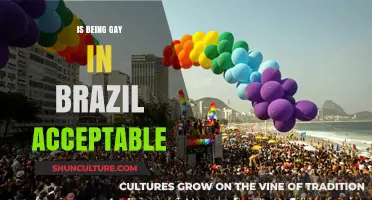Exploring LGBTQ+ Acceptance and Challenges in Modern Brazil