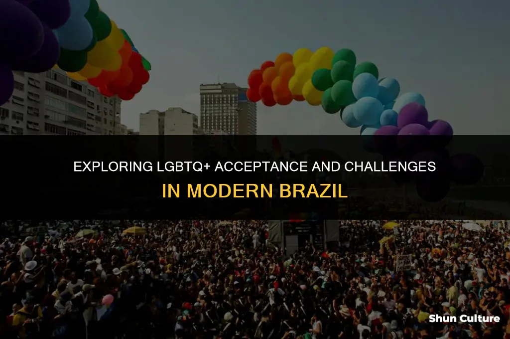 is being gay in brazil acceptable