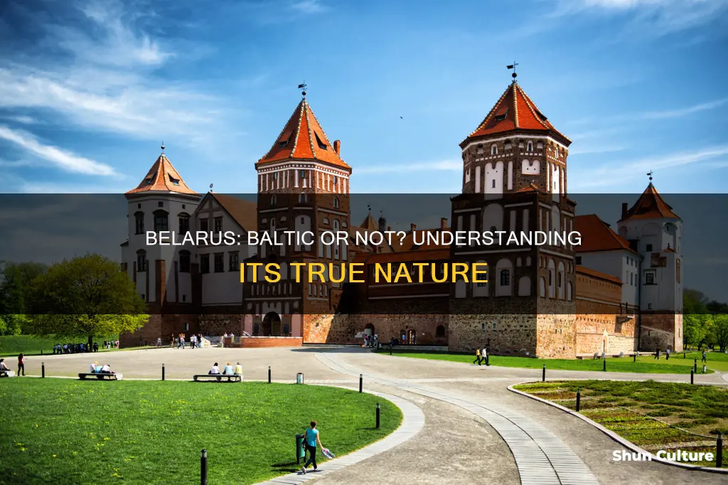 is belarus a baltic country