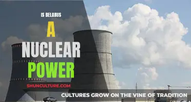 Belarus's Nuclear Power Ambitions: A Developing Story