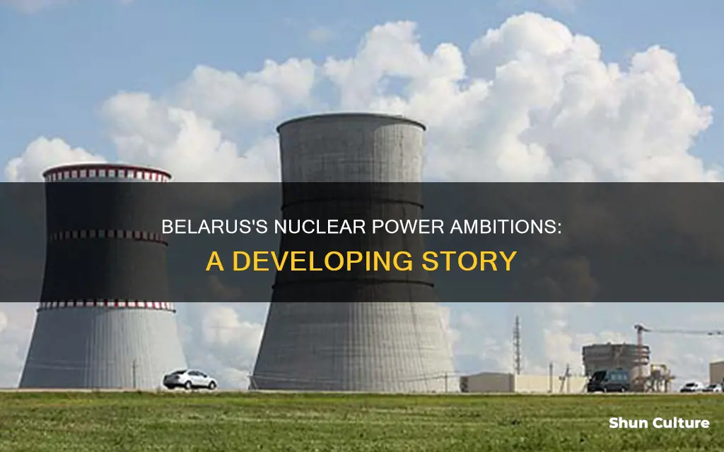 is belarus a nuclear power