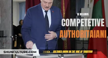 Belarus' Competitive Authoritarianism: A Complex Political Landscape