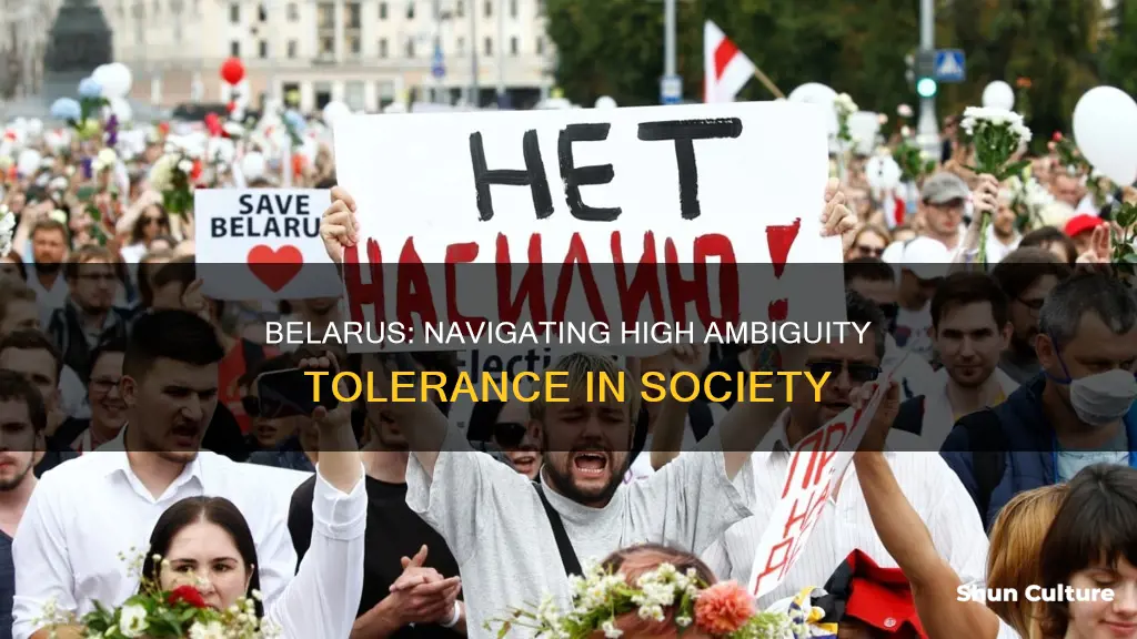 is belarus high ambiguity tolerant