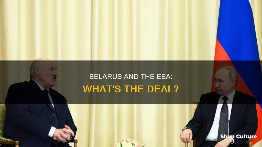 is belarus in the eea