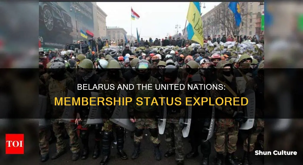 is belarus in the united nations