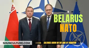 Belarus and NATO: Allies or Adversaries?