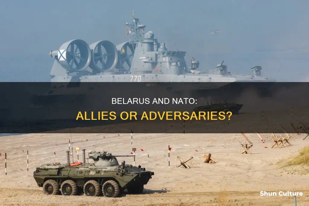 is belarus nato