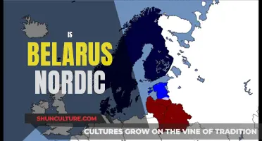 Belarus and the Nordics: Cultural and Geographic Differences