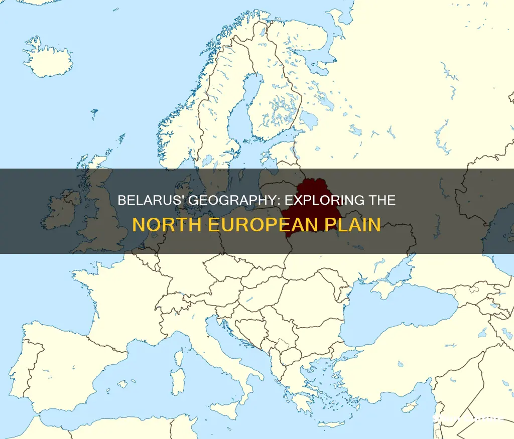 is belarus part of the north european plain