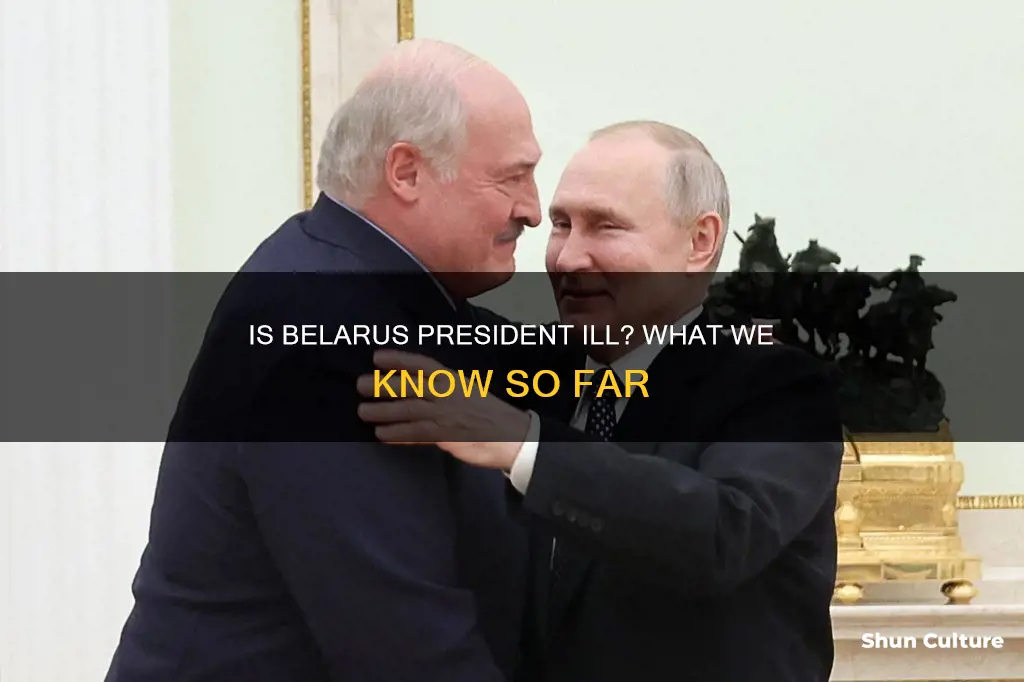 is belarus president sick