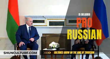 Belarus-Russia Relations: Strong Allies or Strategic Partners?