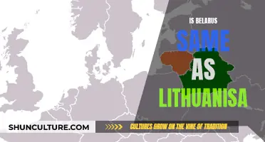 Belarus and Lithuania: Similarities and Differences Explored