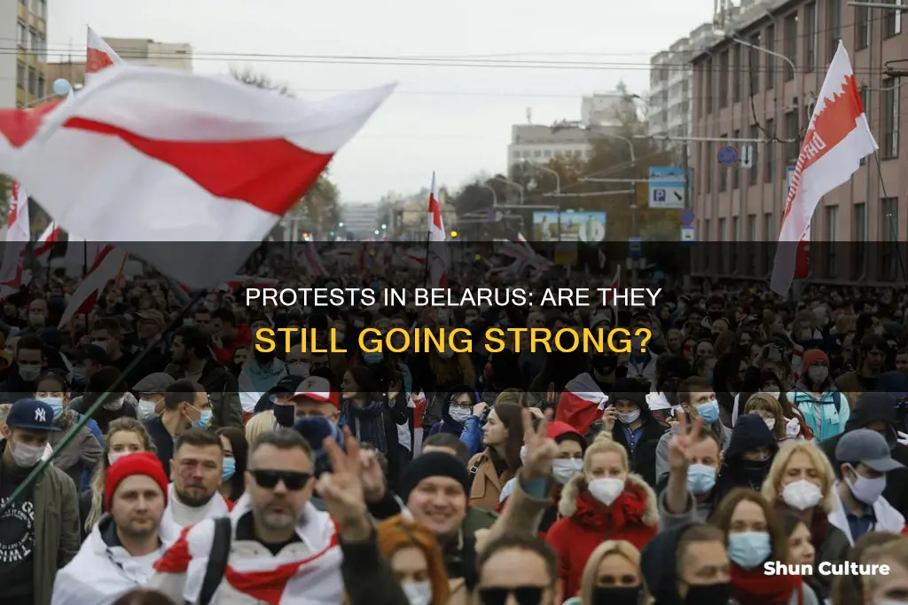 is belarus still protesting