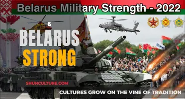 Belarus: A Stronghold in Eastern Europe?