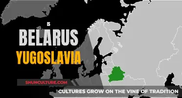 Belarus and Yugoslavia: A Historical Comparison