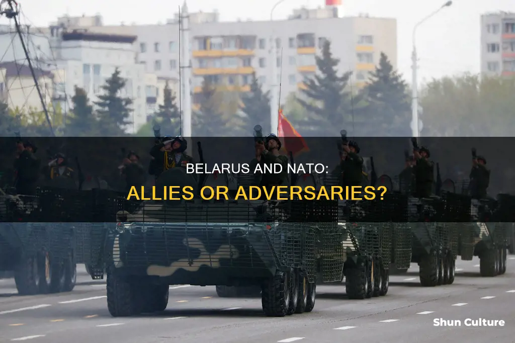 is belaruse in nato