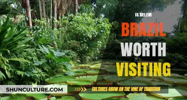 Discovering Belém: Brazil's Hidden Gem Worth Exploring