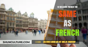 Exploring the Nuances: Belgian French vs. Standard French