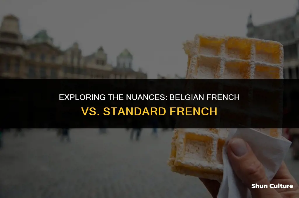 is belgium french the same as french