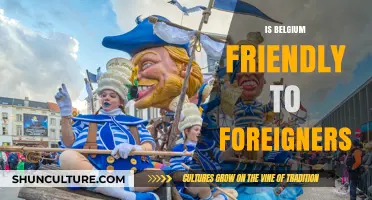 Exploring Belgium: A Foreigner's Guide to Cultural Integration and Hospitality