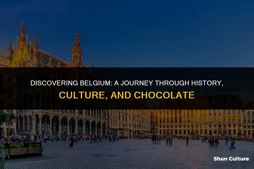 is belgium fun to visit