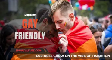 Exploring LGBTQ+ Inclusion and Acceptance in Belgium