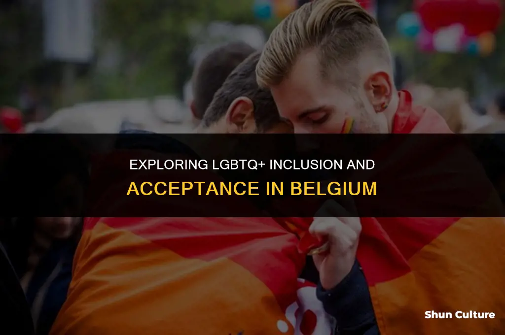 is belgium gay friendly