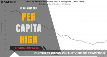 Exploring Belgium's Economic Prosperity: A GDP Per Capita Analysis