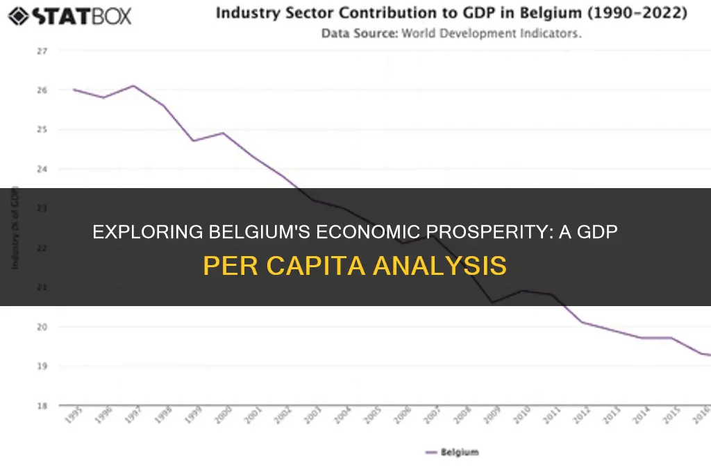 is belgium gdp per capita high
