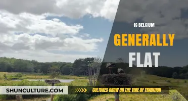 Exploring Belgium's Terrain: A Surprisingly Diverse Landscape