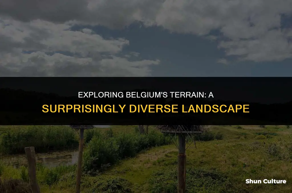 is belgium generally flat