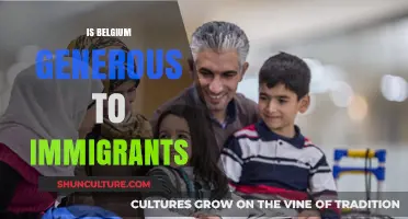 Belgium's Immigrant Policies: A Beacon of Generosity or Restrictive Approach?
