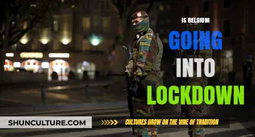 Belgium Lockdown Looms: What You Need to Know