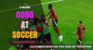 Belgium's Soccer Prowess: A Closer Look at Their Achievements