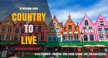 Exploring Belgium: A Comprehensive Guide to Living in This European Gem