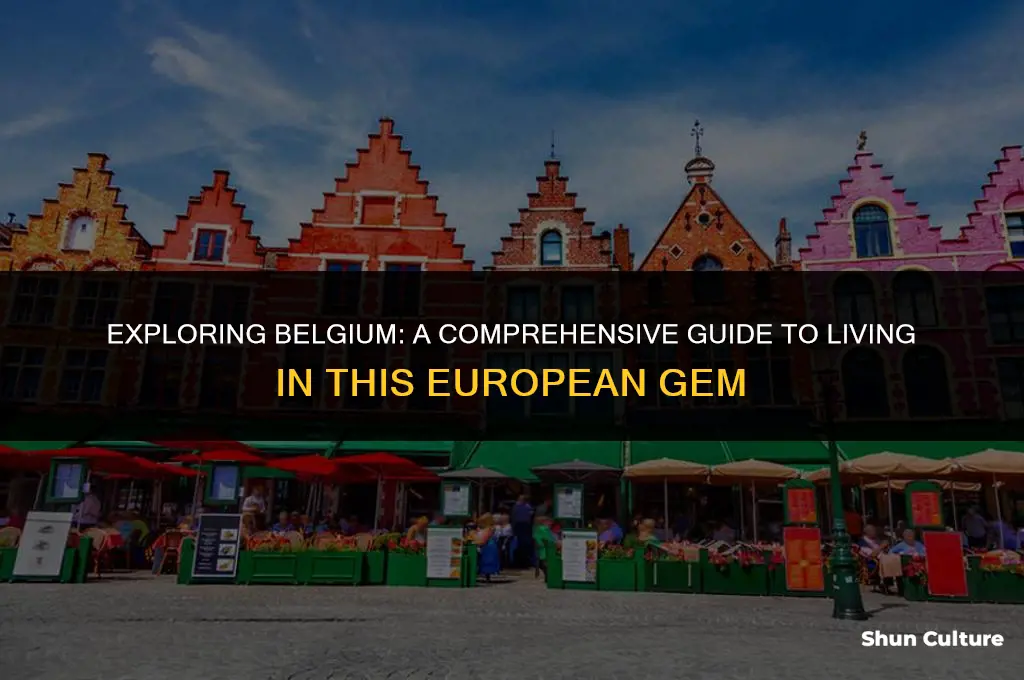 is belgium good country to live