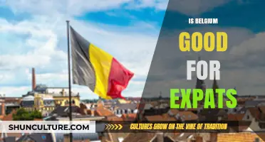 Exploring Belgium: A Haven for Expats or a Hidden Challenge?