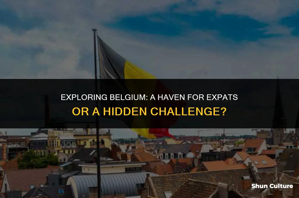 is belgium good for expats