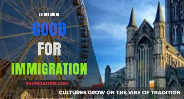 Exploring Belgium: A Comprehensive Guide for Potential Immigrants