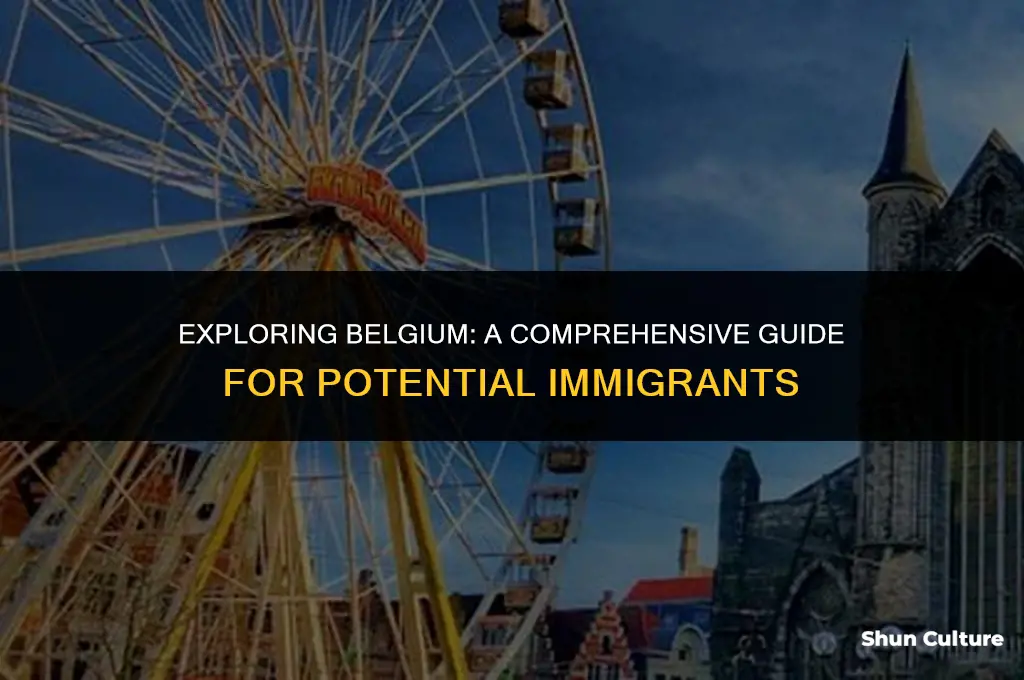 is belgium good for immigration