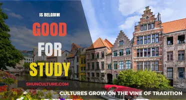Exploring Academic Opportunities: Is Belgium an Ideal Study Destination?